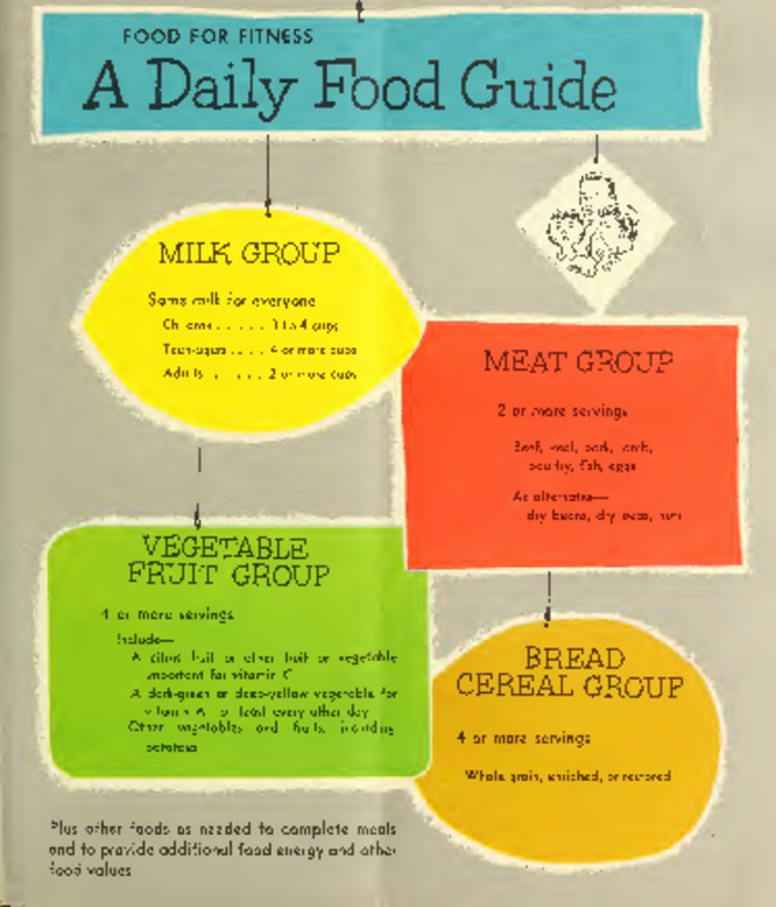 Food For Fitness A Daily Food Guide: Need To Know Everything