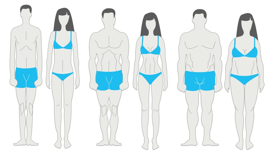 Body Types: How To Optimize Your Fitness Routine For All Body Types?